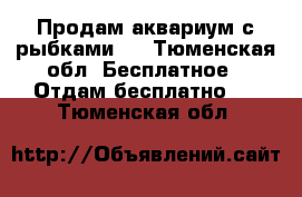 Продам аквариум с рыбками.  - Тюменская обл. Бесплатное » Отдам бесплатно   . Тюменская обл.